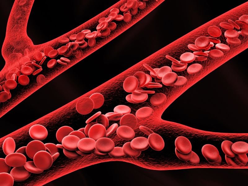 Como a Atividade Fisica Contribui para Arterias Saudaveis em Belo Horizonte