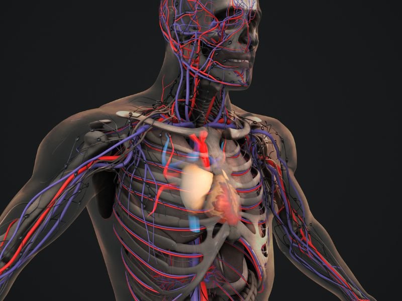 Hidratacao O Segredo Para a Saude das Suas Veias em Belo Horizonte